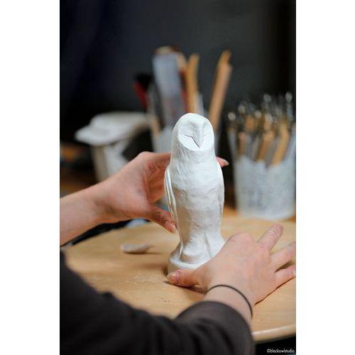 Illustration de : Pâte autodircissante roc 1kg blanc - Darwi