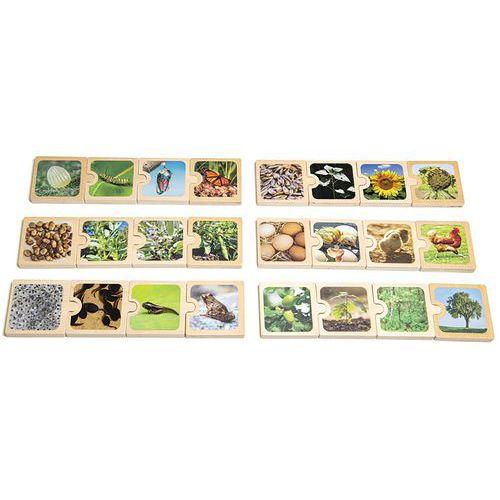 Illustration de : Cycle de vie