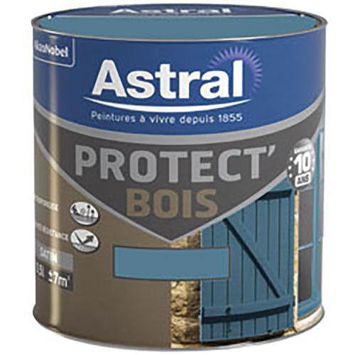 Illustration de : Peinture protectrice bois satinée - Astral