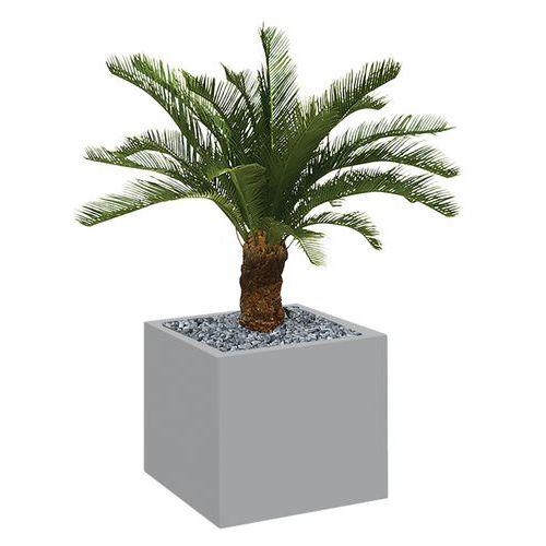 Illustration de : Bac bas métal O'CARRE sur roulettes Palmier