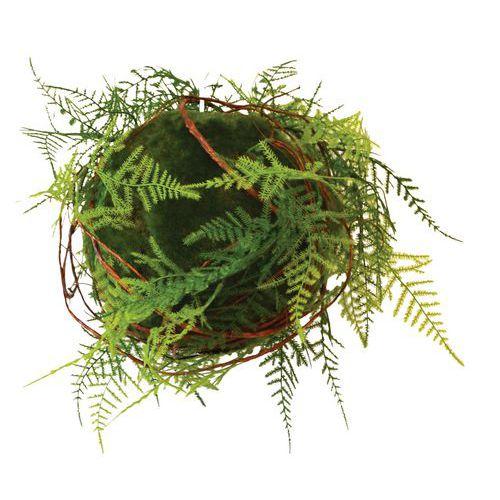 Illustration de : Plantes suspendues KYOTO