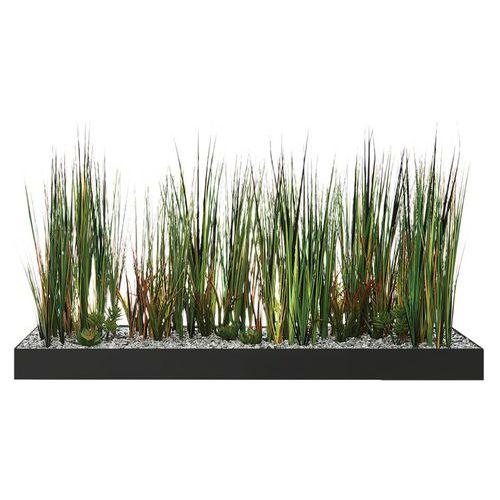 Illustration de : Plateau végétal COLLINE