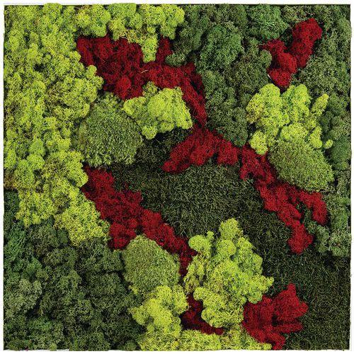 Illustration de : Cadre végétal n 12