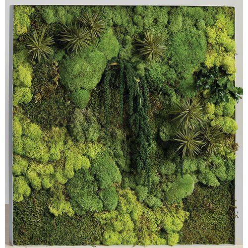 Illustration de : Cadre végétal n 19