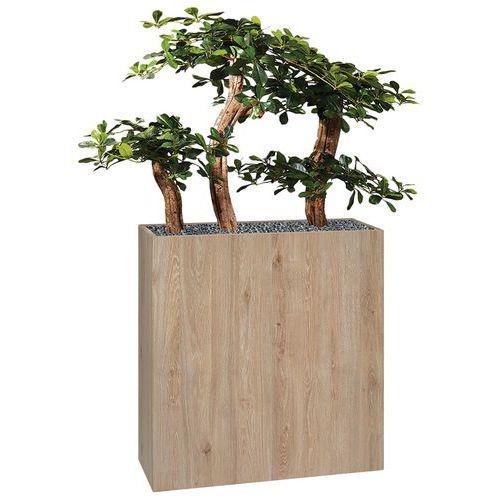 Illustration de : Jardinière bois BOSCO Bonzaî