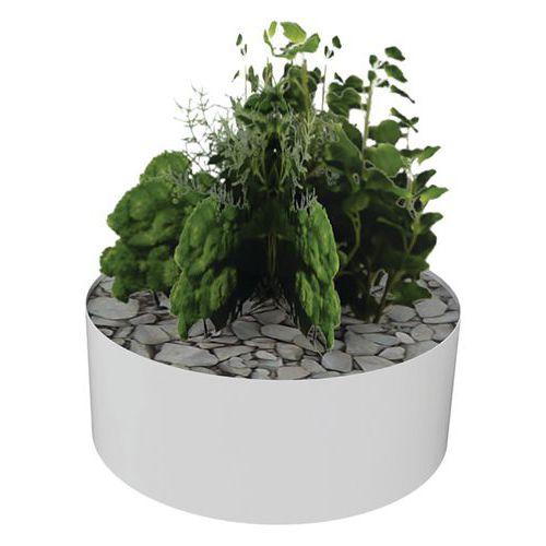 Illustration de : Composition AROMATIQUE 2