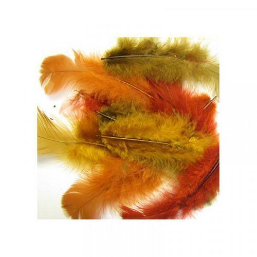 Illustration de : Sachet 150 plumes assorties couleurs de l'automne