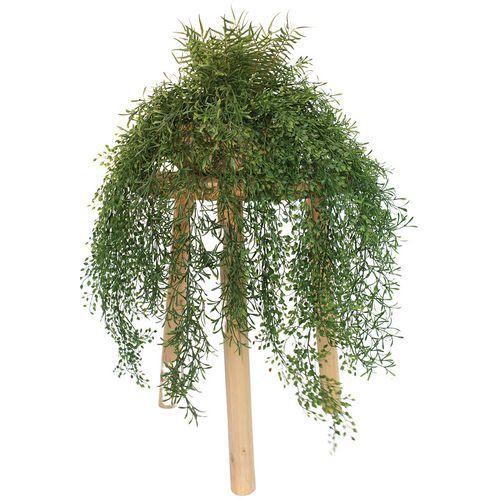 Illustration de : Les tombantes fougères et jasmin - Tanaman