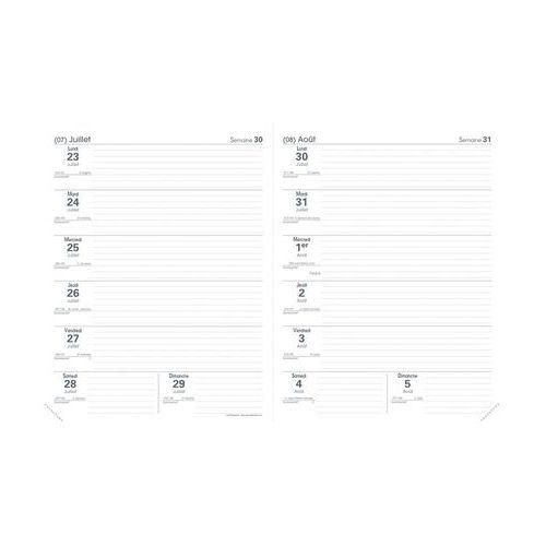 Illustration de : Agenda le professeur 21x27 cm - Quo vadis