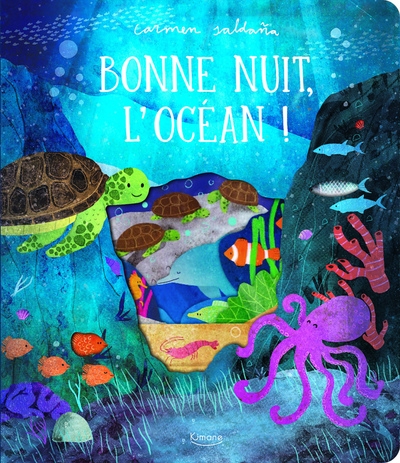Bonne nuit, l'océan ! - Image principale