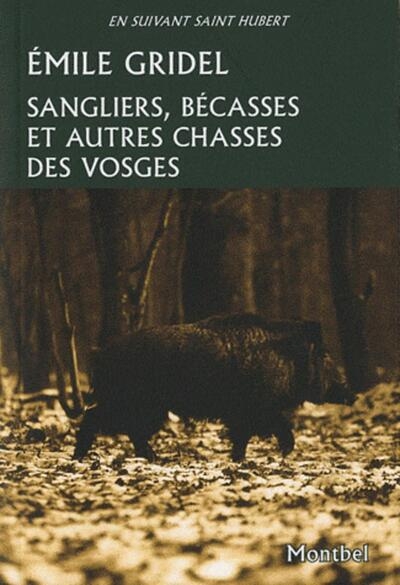Sangliers, bécasses et autres chasses des vosges - Image principale