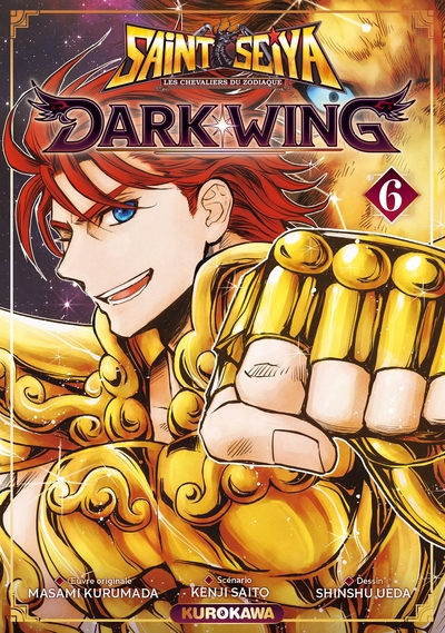 Saint seiya dark wing - tome 6 - Image principale