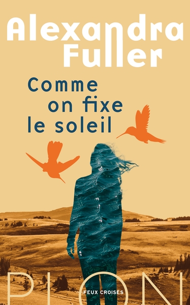 Comme on fixe le soleil - Image principale