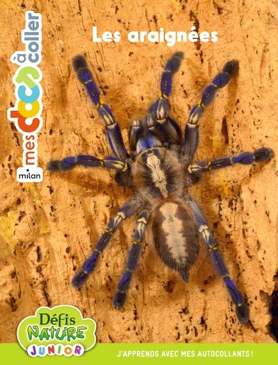 Bioviva - les araignées - Image principale