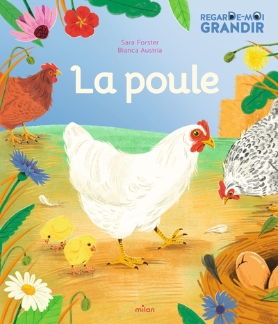 Regarde-moi grandir... la poule - Image principale