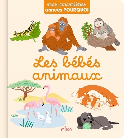 Les bébés animaux - Image principale