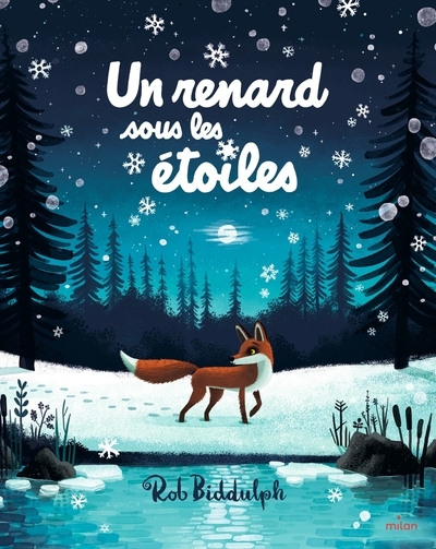 Un renard sous les étoiles - Image principale