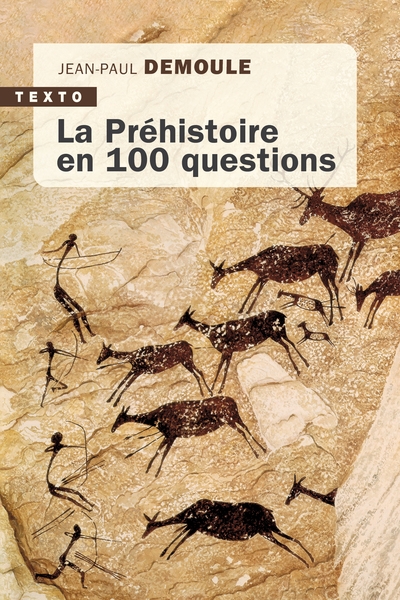 La préhistoire en 100 questions - Image principale