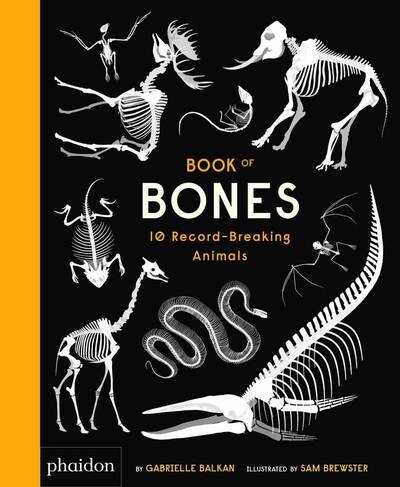 Book of bones - Image principale