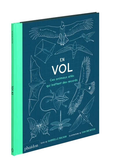 En vol - ces animaux ailés qui battent des records - Image principale