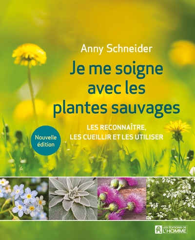 Je me soigne avec les plantes sauvages - Image principale