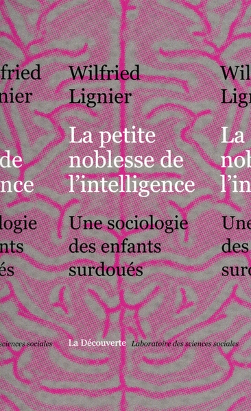La petite noblesse de l'intelligence - Image principale