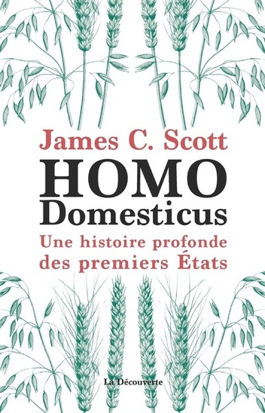 Homo domesticus - une histoire profonde des premiers etats - Image principale