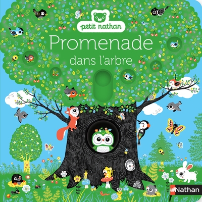 Promenade dans l'arbre - Image principale