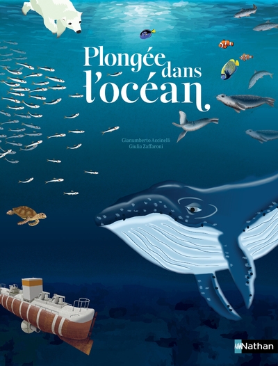 Plongée dans l'océan - un voyage sous-marin des flots aux abysses - Image principale