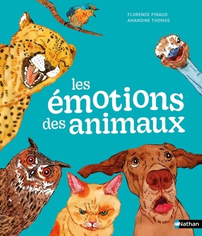 Les émotions des animaux - Image principale