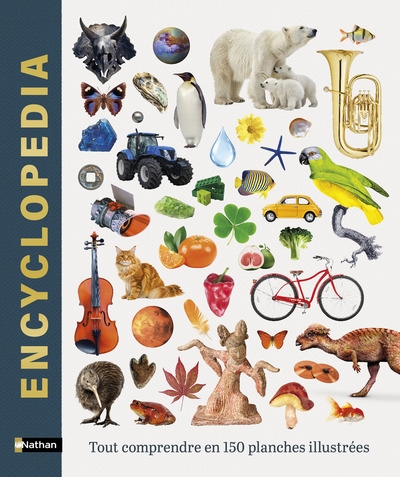 Encyclopedia - tout comprendre en 150 planches illustrées - Image principale