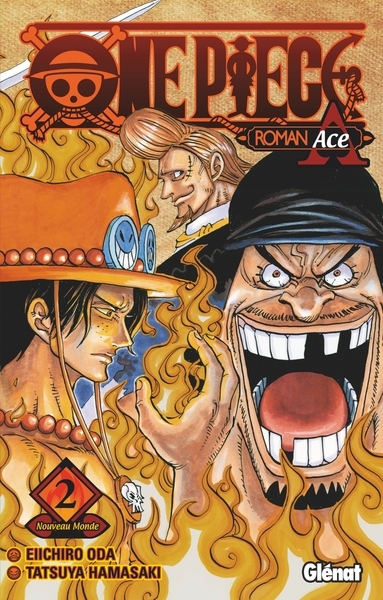 One piece roman - novel a 2e partie - Image principale
