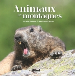 Animaux des montagnes - Image principale