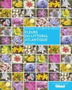 Fleurs du littoral atlantique - Image principale