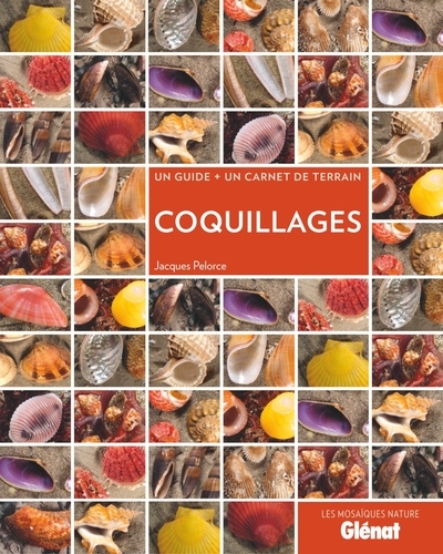 Coquillages - Image principale