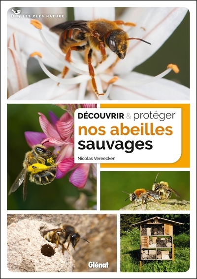 Découvrir et protéger nos abeilles sauvages - Image principale