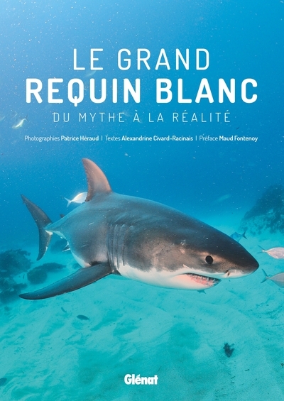 Le grand requin blanc - Image principale
