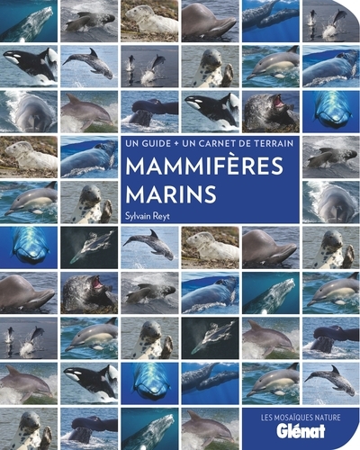 Mammifères marins - Image principale