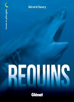 Requins - Image principale
