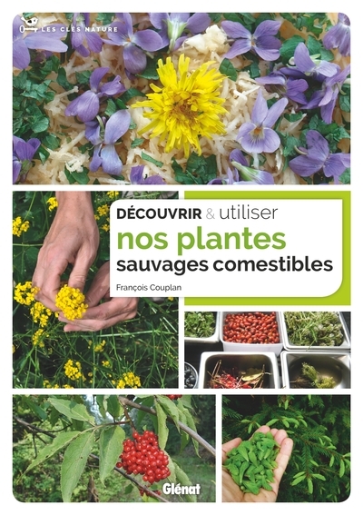 Découvrir et utiliser nos plantes sauvages comestibles - Image principale