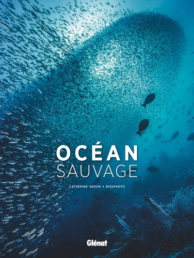 Océan sauvage - Image principale