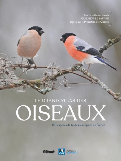Le grand atlas des oiseaux - Image principale