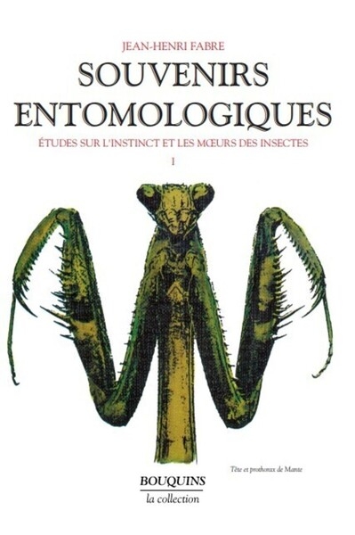 Souvenirs entomologiques - tome 1 - Image principale