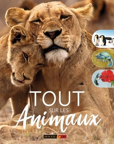 Tout sur les animaux - Image principale