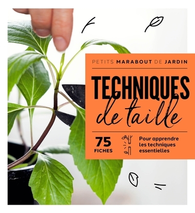 Techniques de taille - Image principale