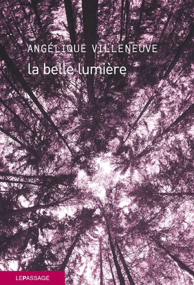 La belle lumière - Image principale