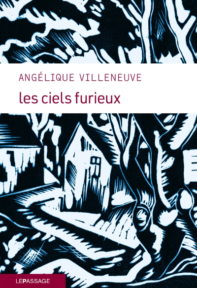 Les ciels furieux - Image principale