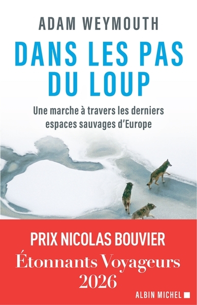 Dans les pas du loup - Image principale