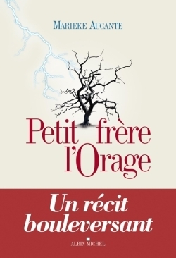 Petit frère l'orage - Image principale