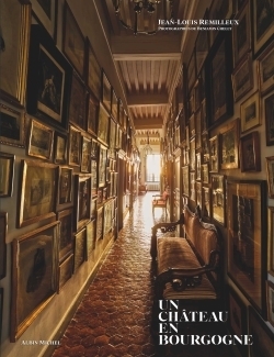 Un château en bourgogne - Image principale